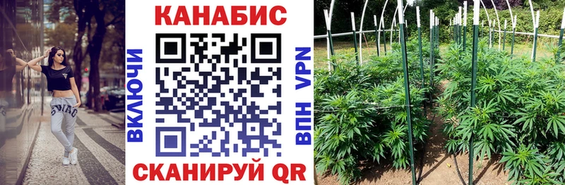 Канабис MAZAR  где купить наркоту  Сусуман 